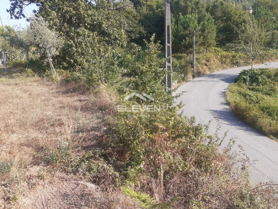 Terreno para Venda em Santa Maria de Sardoura Foto 6