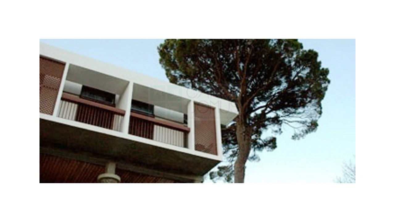 Negócio para Venda em Lagos da Beira e Lajeosa Foto 26