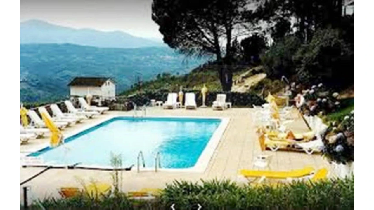 Negócio para Venda em Lagos da Beira e Lajeosa Foto 33