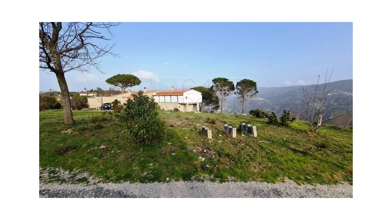 Negócio para Venda em Lagos da Beira e Lajeosa Foto 9