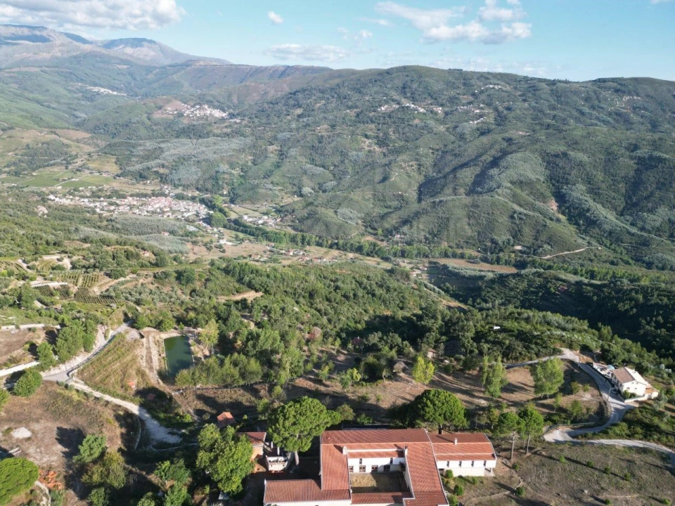 Negócio para Venda em Lagos da Beira e Lajeosa Foto 92