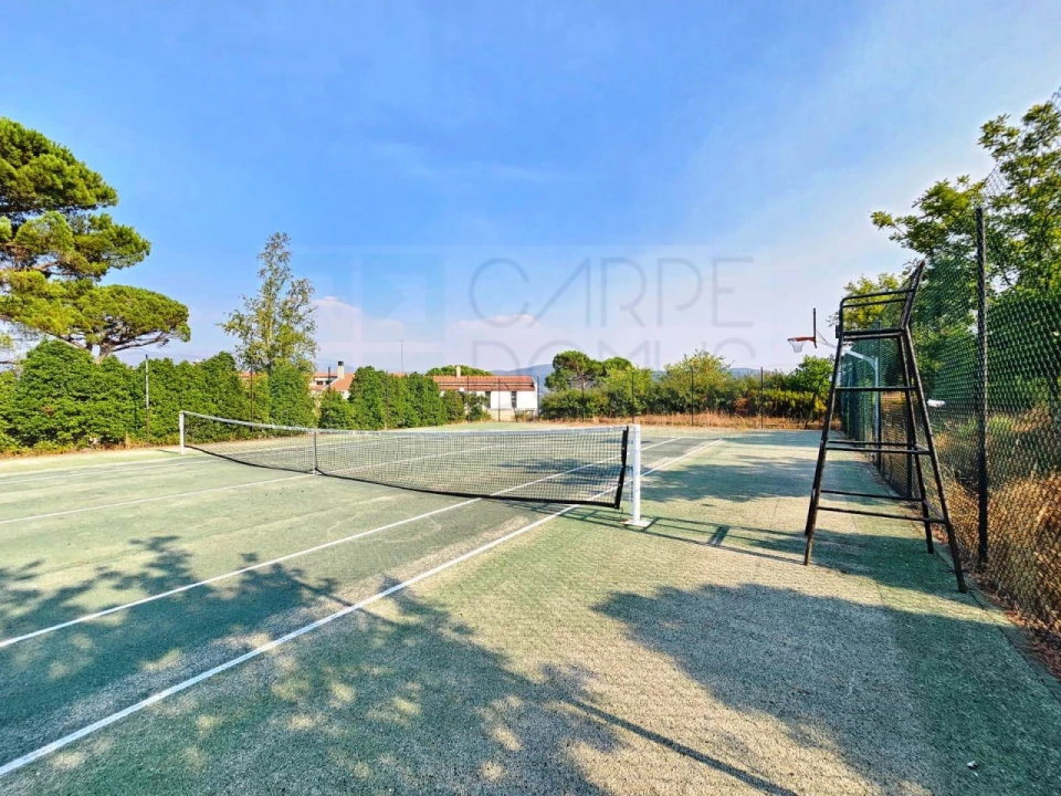 Negócio para Venda em Lagos da Beira e Lajeosa Foto 107