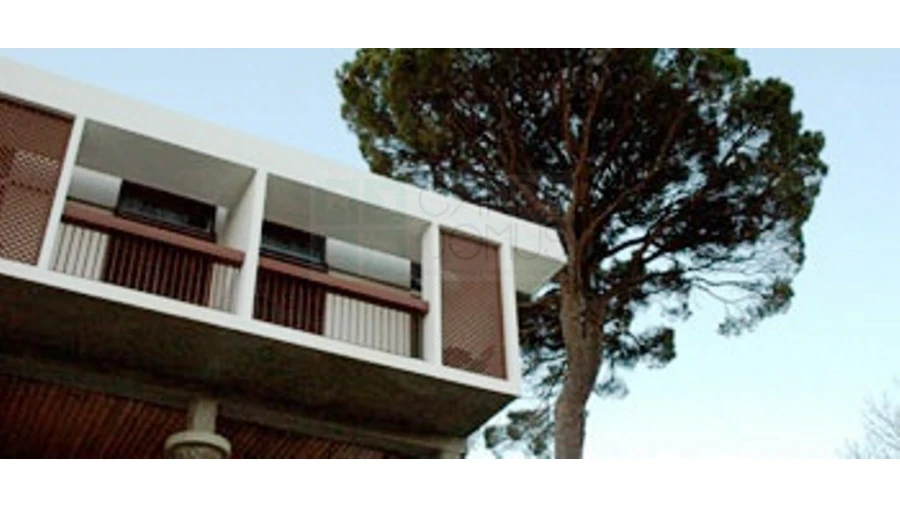 Negócio para Venda em Lagos da Beira e Lajeosa Foto 26