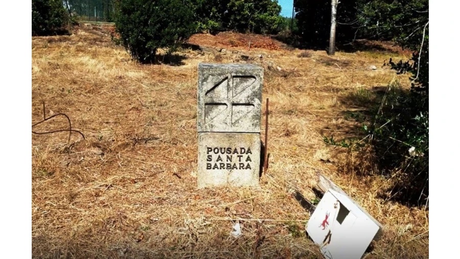 Negócio para Venda em Lagos da Beira e Lajeosa Foto 83