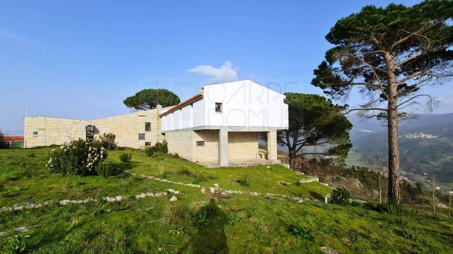 Negócio para Venda em Lagos da Beira e Lajeosa Foto 79