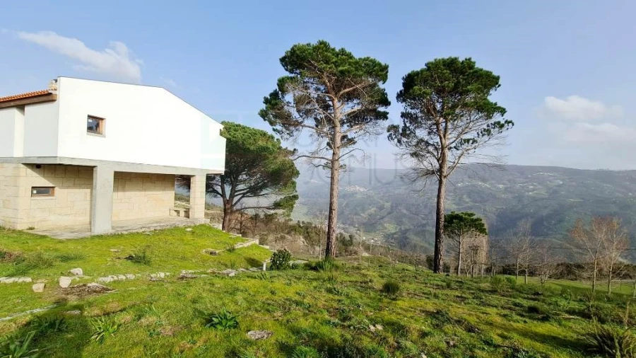 Negócio para Venda em Lagos da Beira e Lajeosa Foto 80
