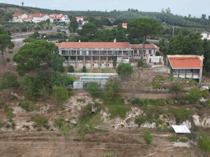 Negócio para Venda em Lagos da Beira e Lajeosa Foto 97