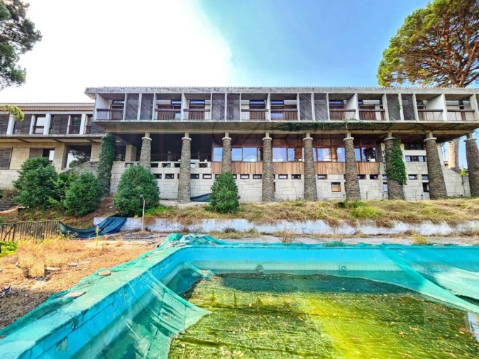 Negócio para Venda em Lagos da Beira e Lajeosa Foto 2