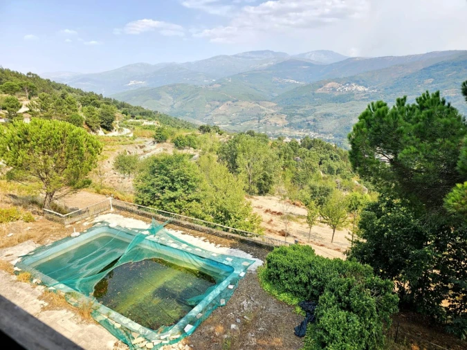 Negócio para Venda em Lagos da Beira e Lajeosa Foto 5