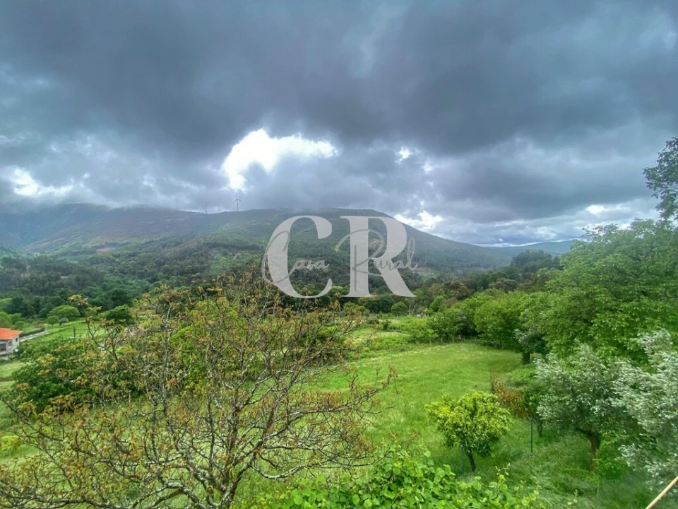 Moradia T3 para Venda em Castanheira de Pêra e Coentral Foto 68