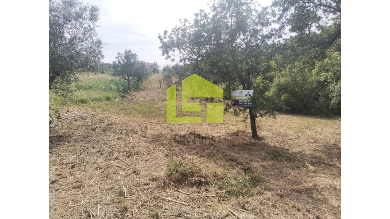 Terreno para Venda em Ega Foto 14