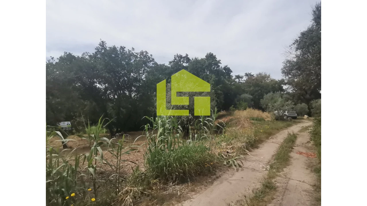 Terreno para Venda em Ega Foto 21