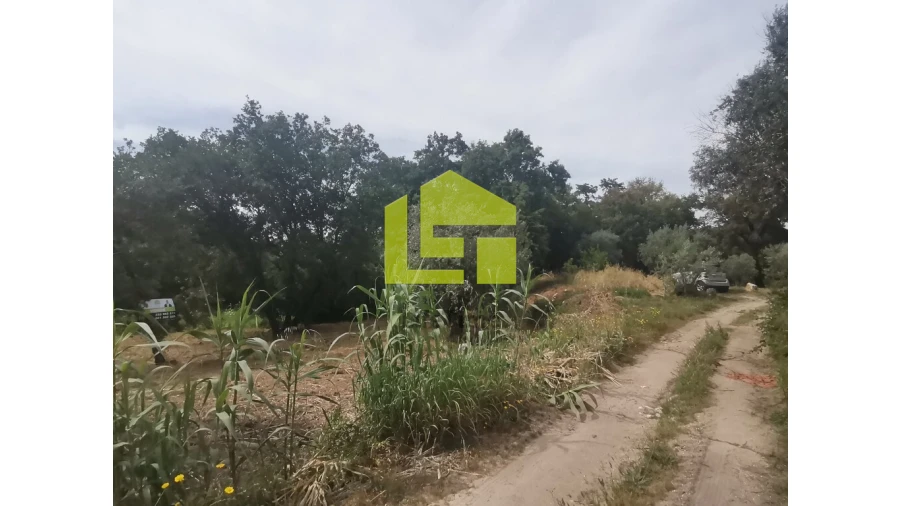 Terreno para Venda em Ega Foto 21