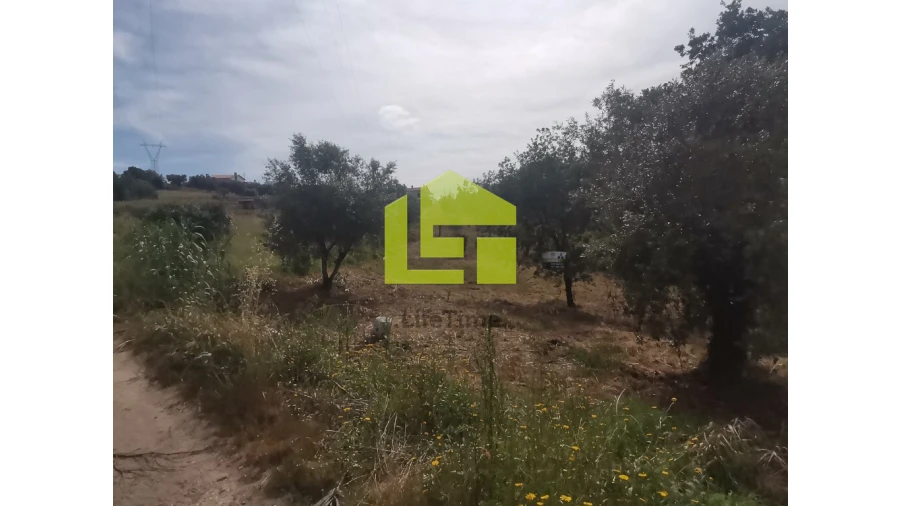 Terreno para Venda em Ega Foto 18