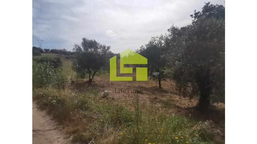 Terreno para Venda em Ega Foto 19