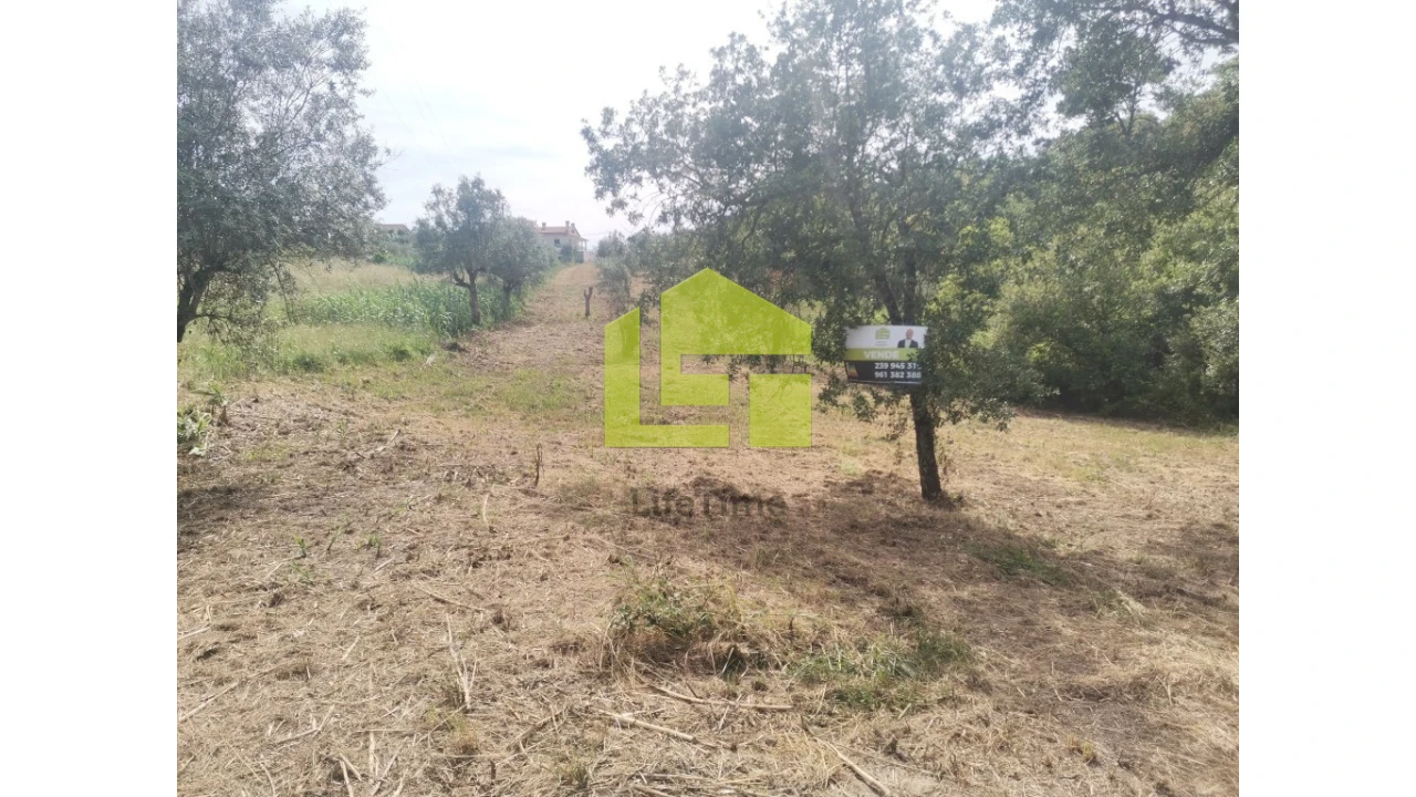 Terreno para Venda em Ega Foto 15