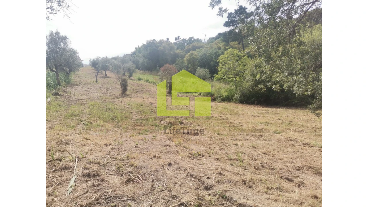 Terreno para Venda em Ega Foto 13