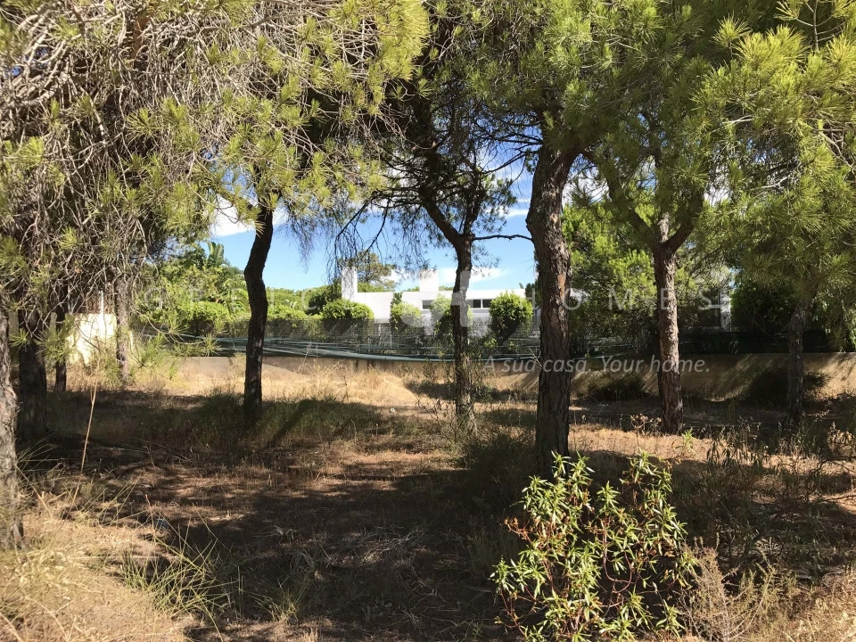 Terreno para Venda em Almancil Foto 15
