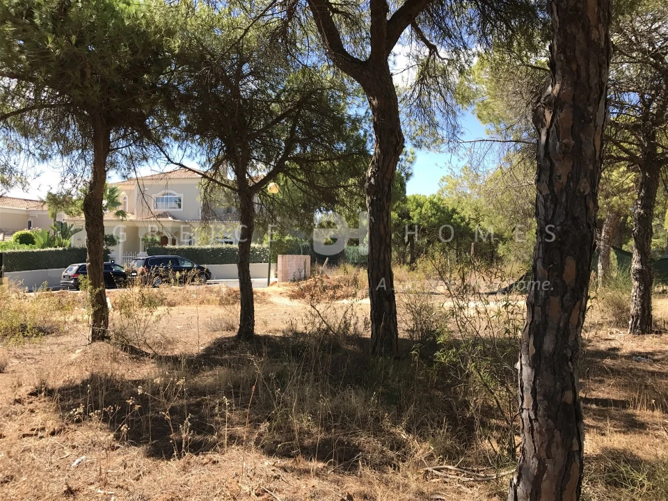 Terreno para Venda em Almancil Foto 21