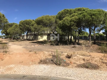 Terreno para Venda em Almancil