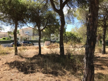 Terreno para Venda em Almancil