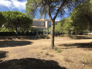 Terreno para Venda em Almancil