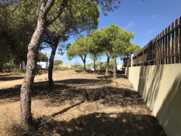 Terreno para Venda em Almancil