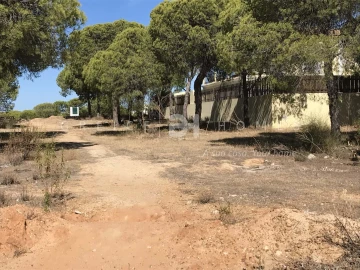 Terreno para Venda em Almancil