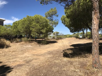 Terreno para Venda em Almancil