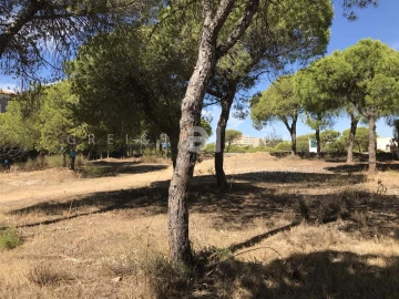 Terreno para Venda em Almancil