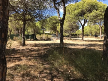 Terreno para Venda em Almancil