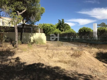 Terreno para Venda em Almancil