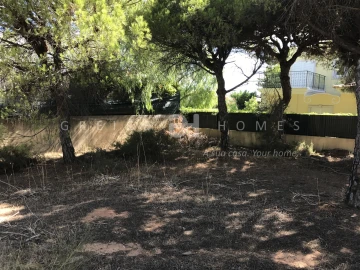 Terreno para Venda em Almancil