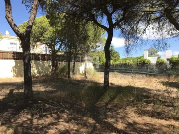 Terreno para Venda em Almancil