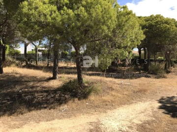 Terreno para Venda em Almancil
