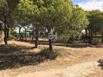 Terreno para Venda em Almancil