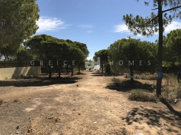 Terreno para Venda em Almancil