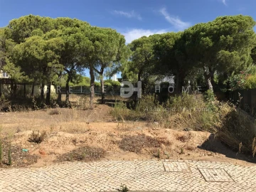 Terreno para Venda em Almancil