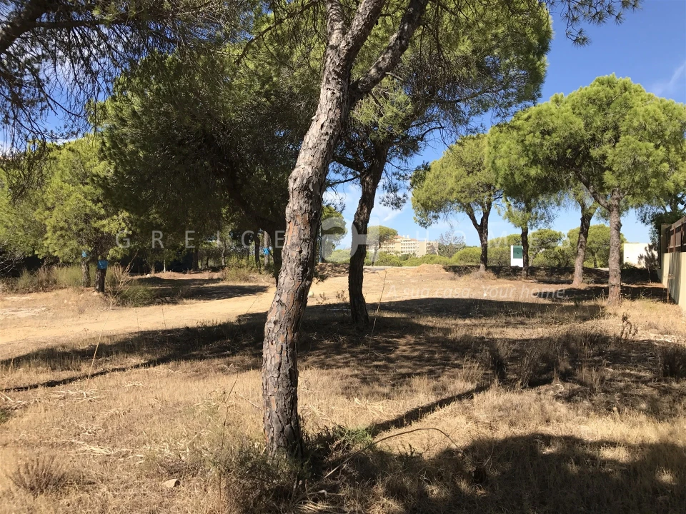 Terreno para Venda em Almancil Foto 30