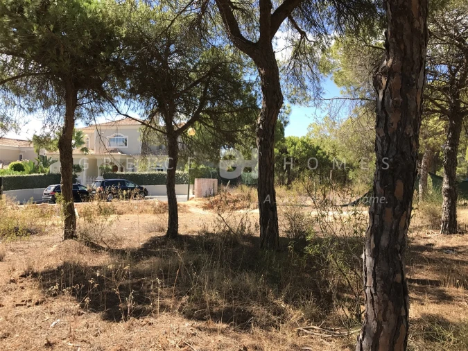 Terreno para Venda em Almancil Foto 21