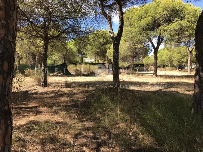 Terreno para Venda em Almancil Foto 23