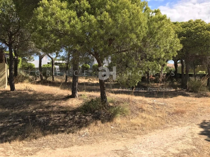 Terreno para Venda em Almancil Foto 11