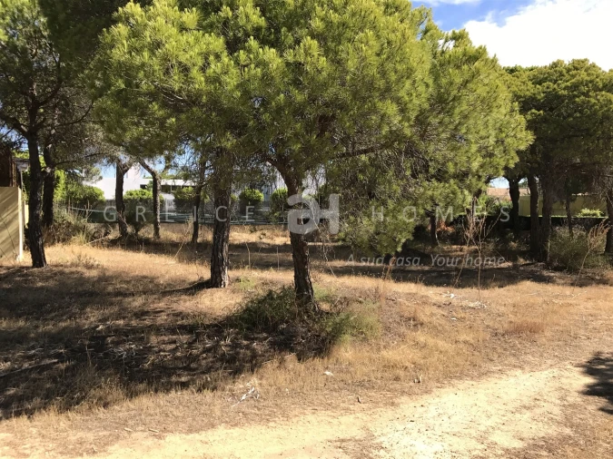 Terreno para Venda em Almancil Foto 6