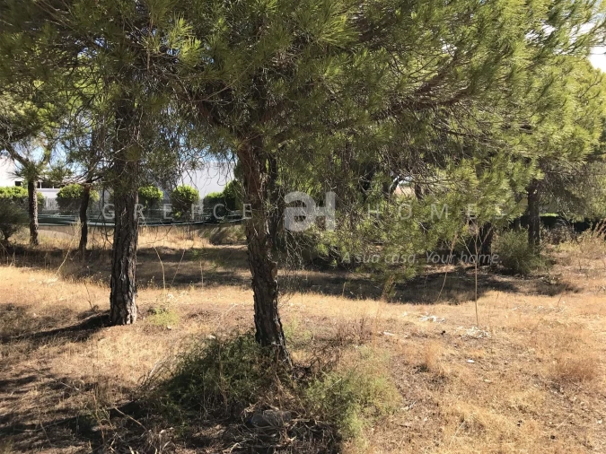 Terreno para Venda em Almancil Foto 14