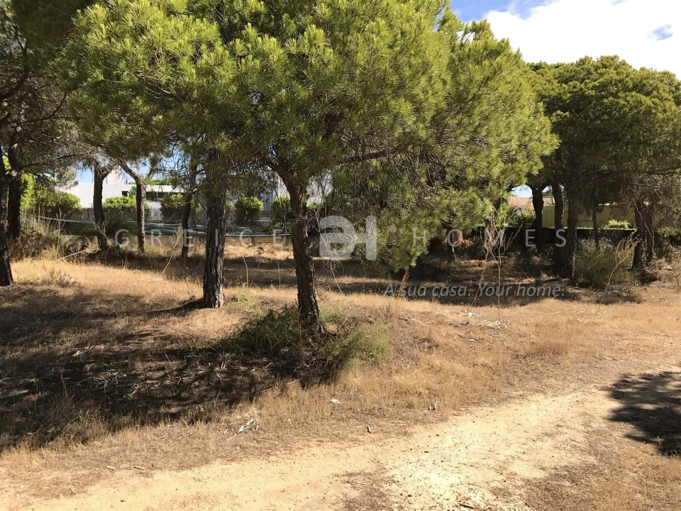Terreno para Venda em Almancil Foto 7