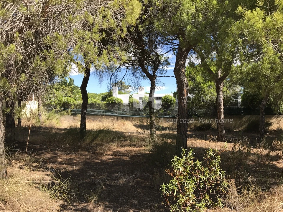 Terreno para Venda em Almancil Foto 16