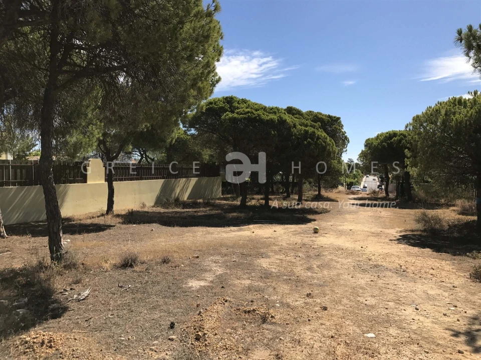 Terreno para Venda em Almancil Foto 36