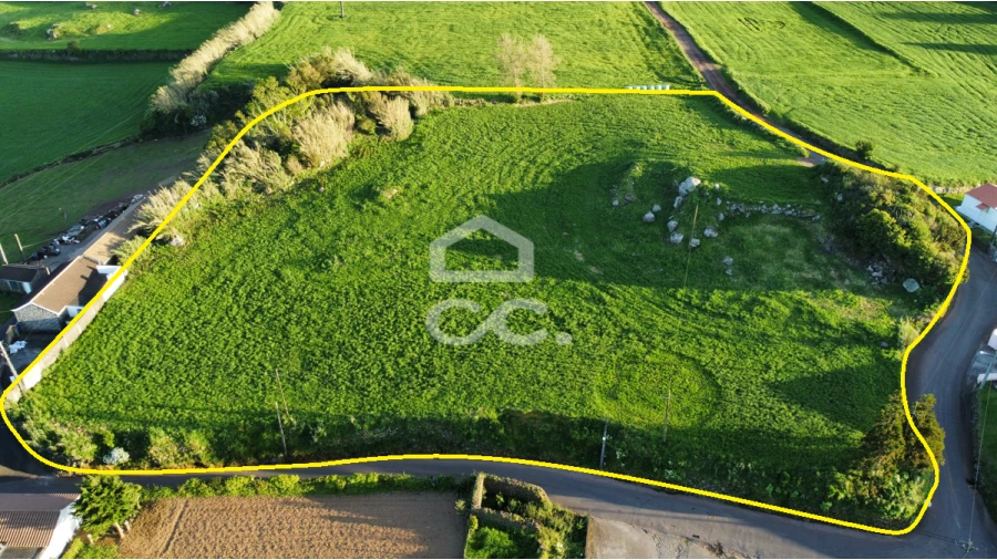 Terreno para Venda em Lomba da Fazenda Foto 3