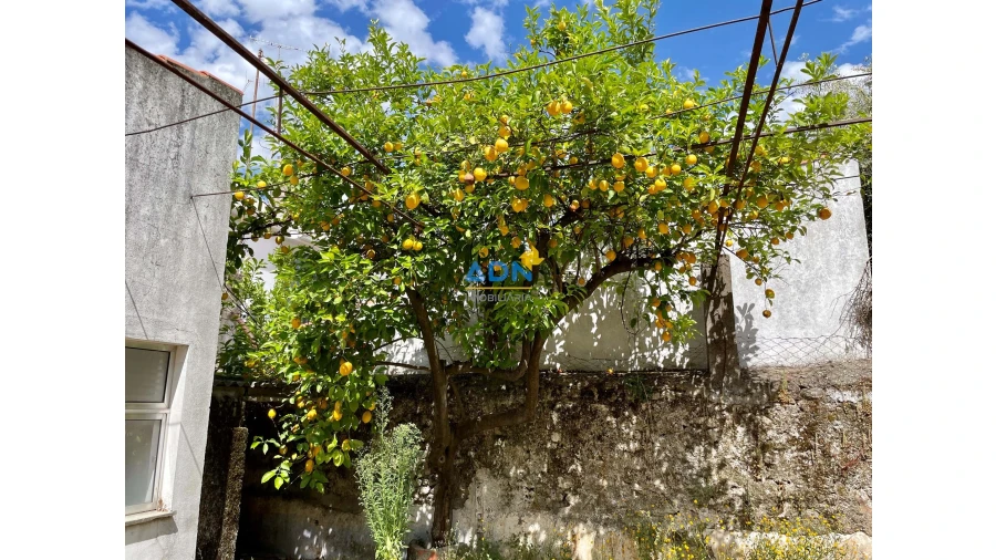 Negócio para Venda em Castelo Branco Foto 13