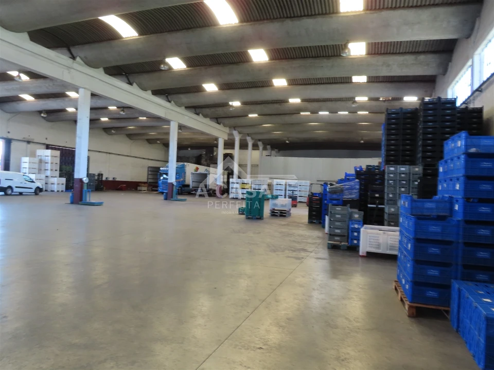 Armazém para Venda em São Miguel do Souto e Mosteirô Foto 1